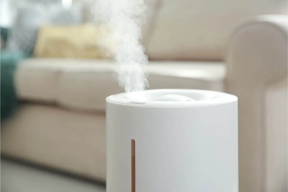 Best Humidifier for Dry Eyes