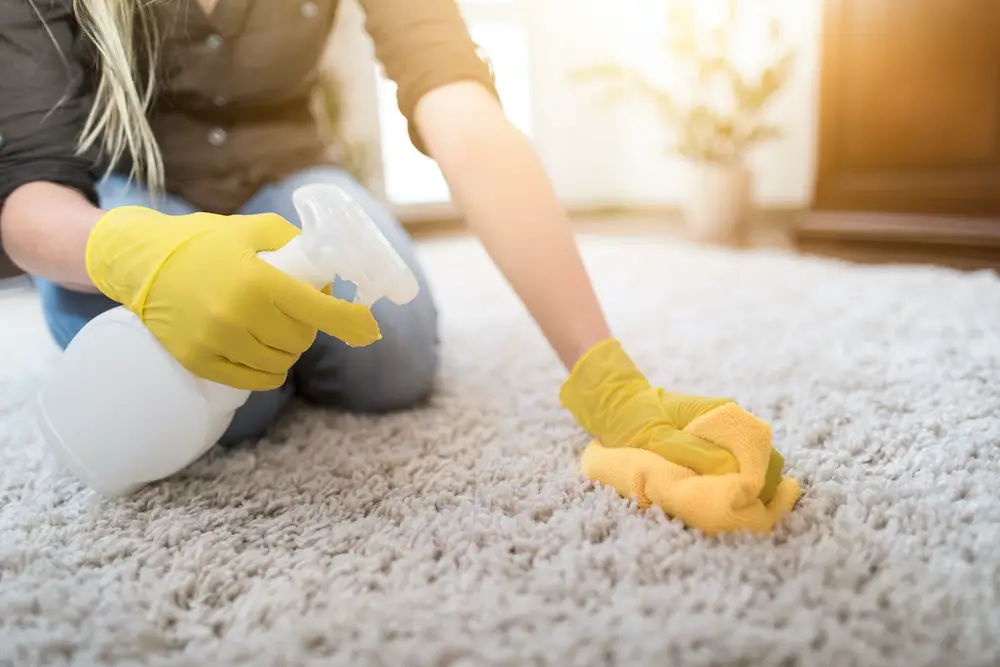 how to clean a rug without a steam cleaner