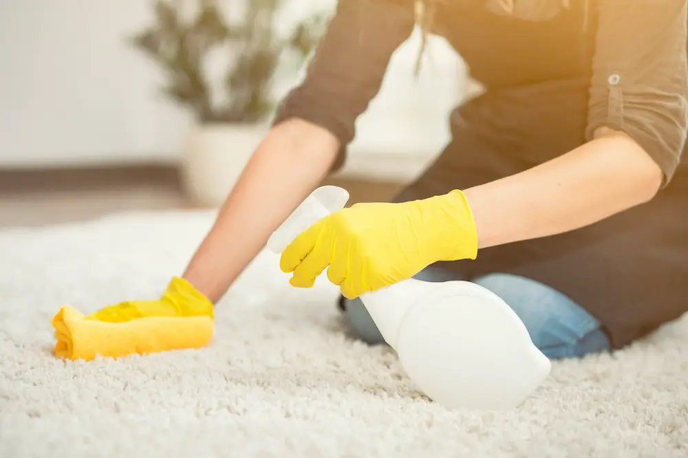 tips on how to clean a rug without a steam cleaner
