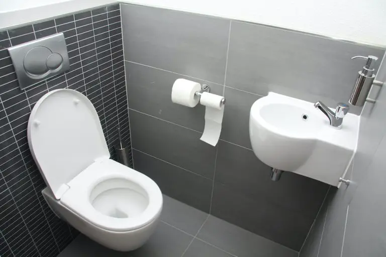 Elongated vs Round Toilets Sleek Dwellings