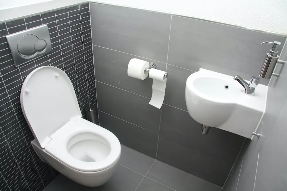 difference between elongated vs round toilet