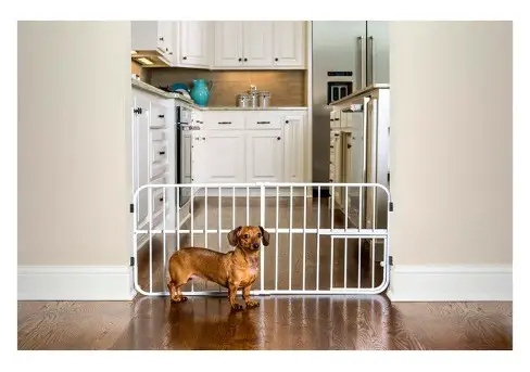 Use a gate to keep your dog out of the kitchen and away from the trash can