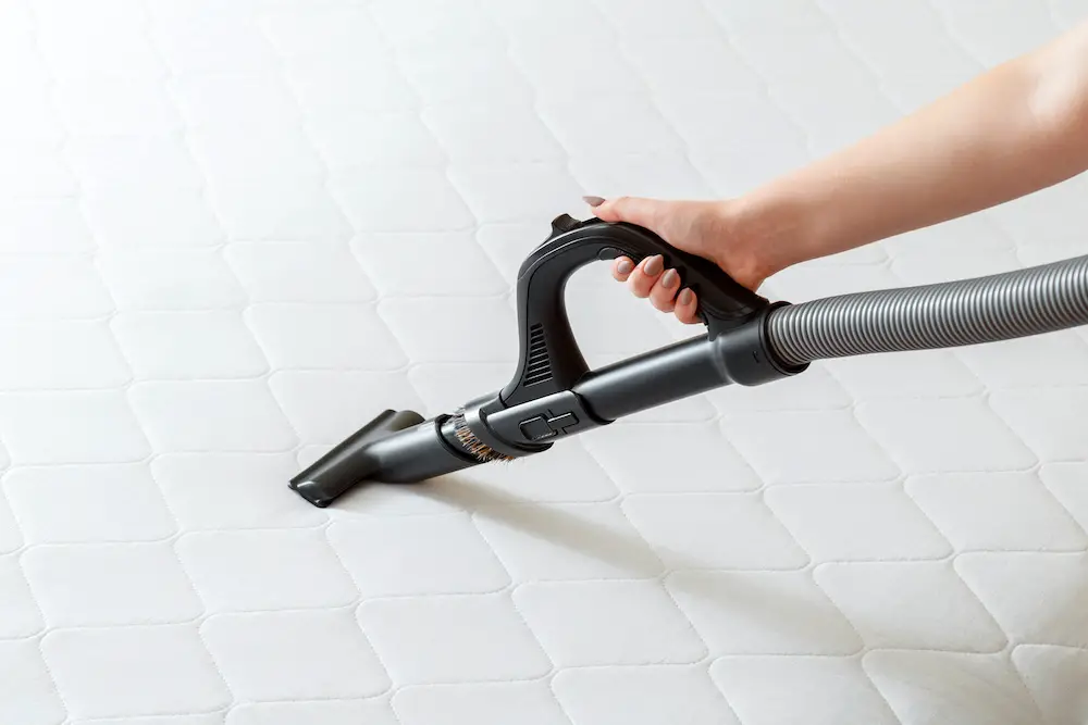 karcher steam cleaner sc1 review