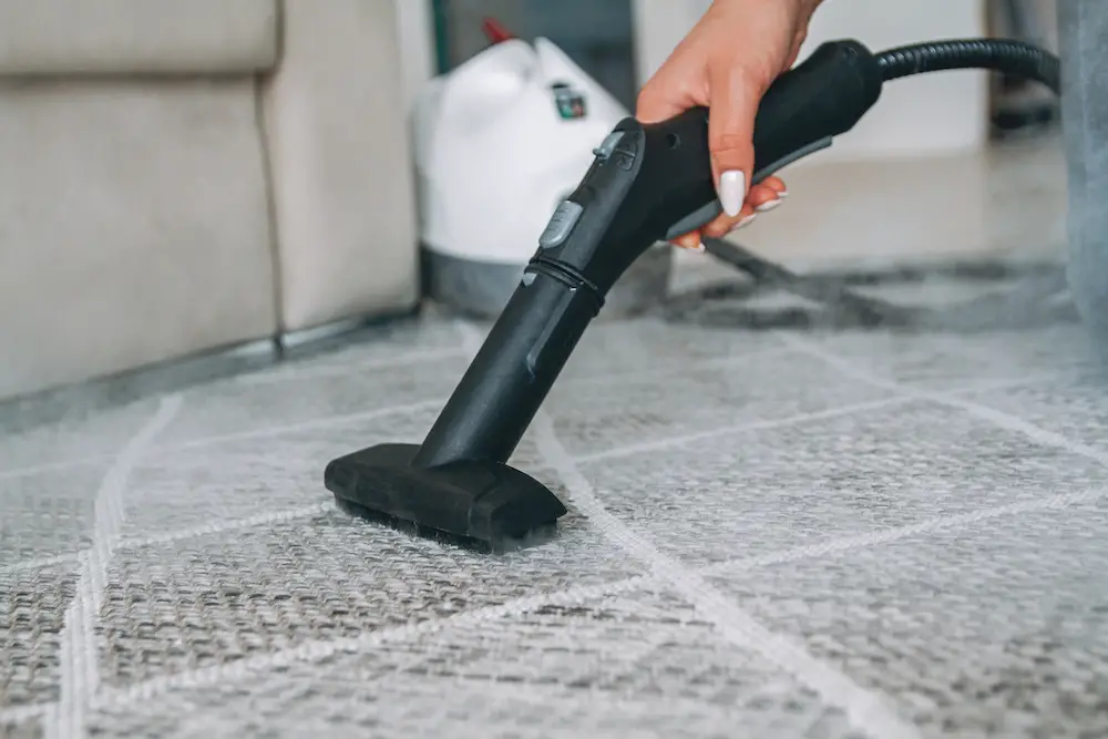 learn how long does carpet dry after steam cleaning
